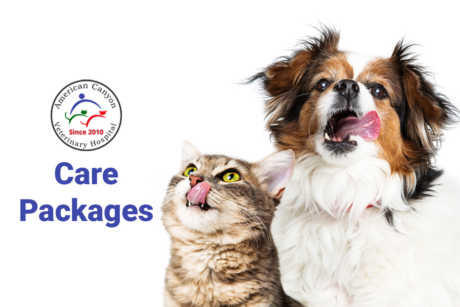 Care Packages Vet in American Canyon American Canyon Veterinary